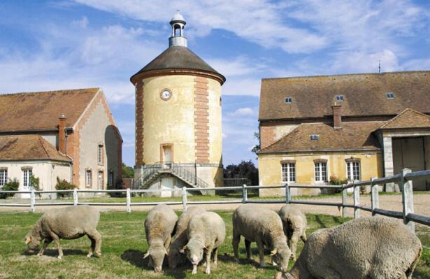 Ferienhaus Au Coin Du Feu *